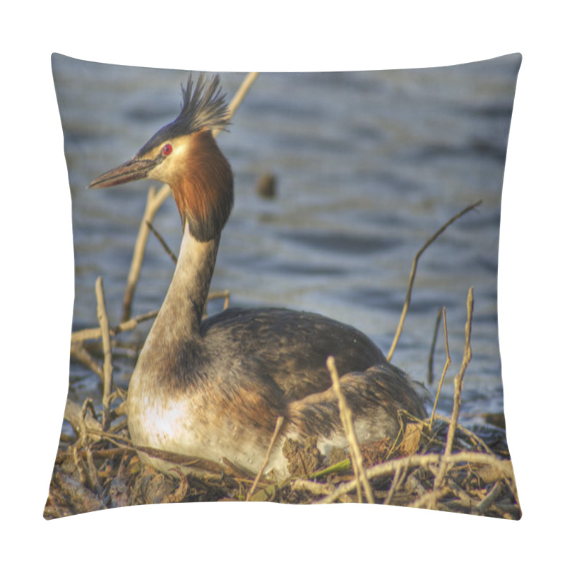 Personality  Great Crested Grebe 3 Pillow Covers