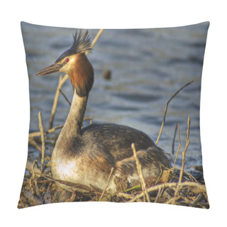 Personality  Great Crested Grebe 3 Pillow Covers
