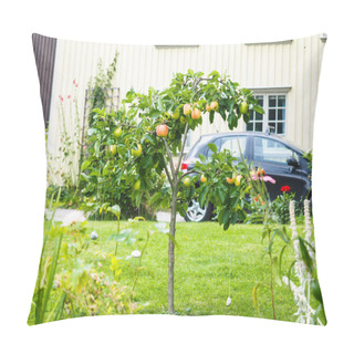 Personality  Small Apple Tree In Front Of Beige House In Garden Pillow Covers