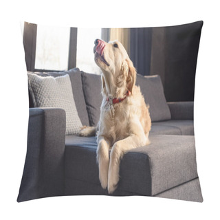 Personality  Golden Retriever Dog  Pillow Covers