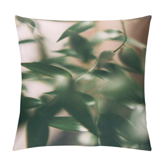 Personality  Macro Photography Of Green Leaves, Soft Focus Background Pillow Covers