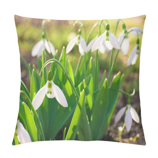 Personality  Bush Of White Small Spring Flowers Pillow Covers