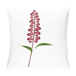 Personality  Scarlet Sage Flowers Or Salvia Splendens Flower Pillow Covers