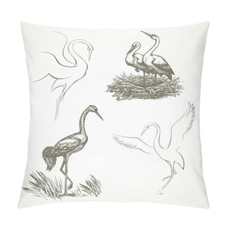 Personality  Stork. Vector Drawing Pillow Covers
