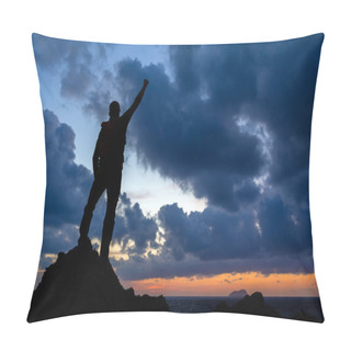 Personality  Happy Winner Reaching Life Goal Successful Man Pillow Covers