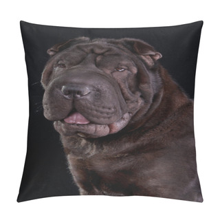 Personality  Shar-Pei Pillow Covers