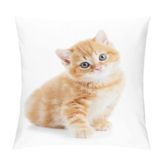 Personality  British Shorthair Kitten Cat Isolated Pillow Covers