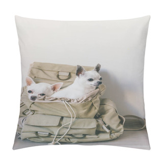 Personality  Two Chihuahua Puppies Sitting In Pocket Of Hipster Canvas Backpack With Funny Faces And Looking Different Ways. Dogs Travel. Comfortable Relax. Pets On Vacation. Animals Family Lying Together At Home. Pillow Covers