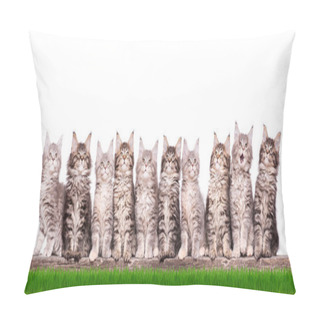 Personality  Maine Coon Kitten In Grass Pillow Covers
