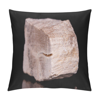 Personality  Macro Mineral Stone Petrified Tree On Black Background Pillow Covers