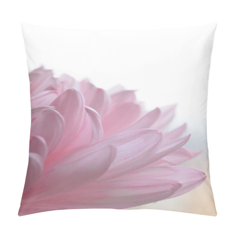 Personality  Close Up Image of the Beautiful Pink Chrysanthemum Flower pillow covers