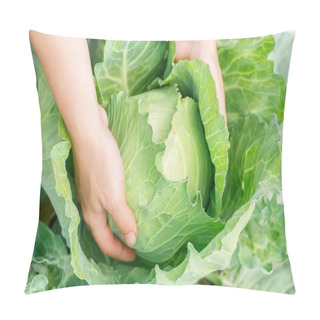 Personality  Cabbage In The Garden Closeup Pillow Covers