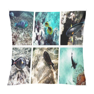 Personality Fish Pillow Covers