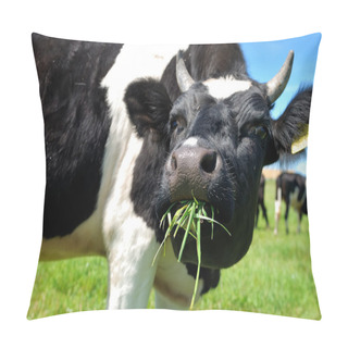Personality  Cow Chewing Grass Pillow Covers