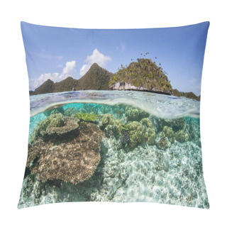 Personality  Coral Reef And Limestone Islands In Raja Ampat Pillow Covers