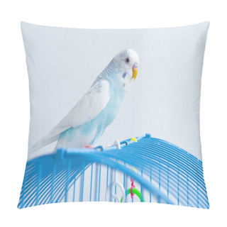 Personality  A Wavy Blue Parrot Sits On A Cage Pillow Covers