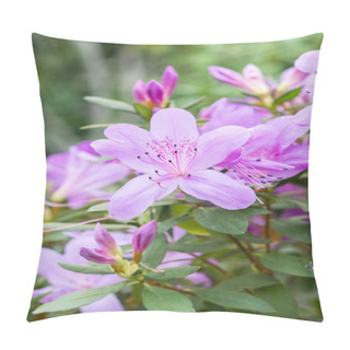 Personality  Blossoming Azalea Flowers, With Delicate Purple Flowers. Pillow Covers