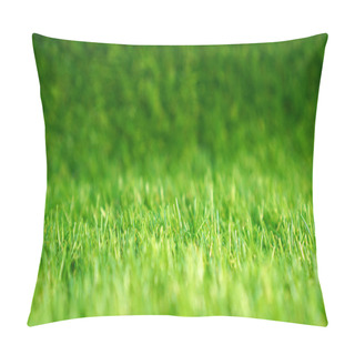 Personality  Artificial Grass In A Garden. Artificial Turf Background.  Pillow Covers