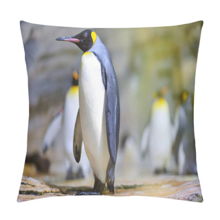 Personality  Group Of Cute Penguins In A Zoo Pillow Covers
