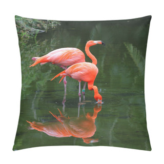 Personality  Two Pink Flamingos Are Searching Feed In The Water Pillow Covers