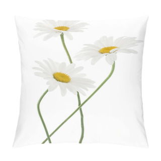 Personality  Daisy Flowers Pillow Covers