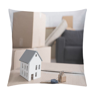 Personality  Key And House Model On Carton Box In New Apartment Pillow Covers