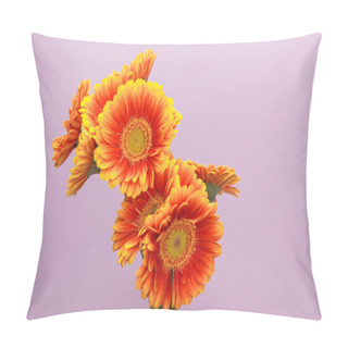 Personality  Orange Gerbera Flowers On Violet Background With Copy Space Pillow Covers