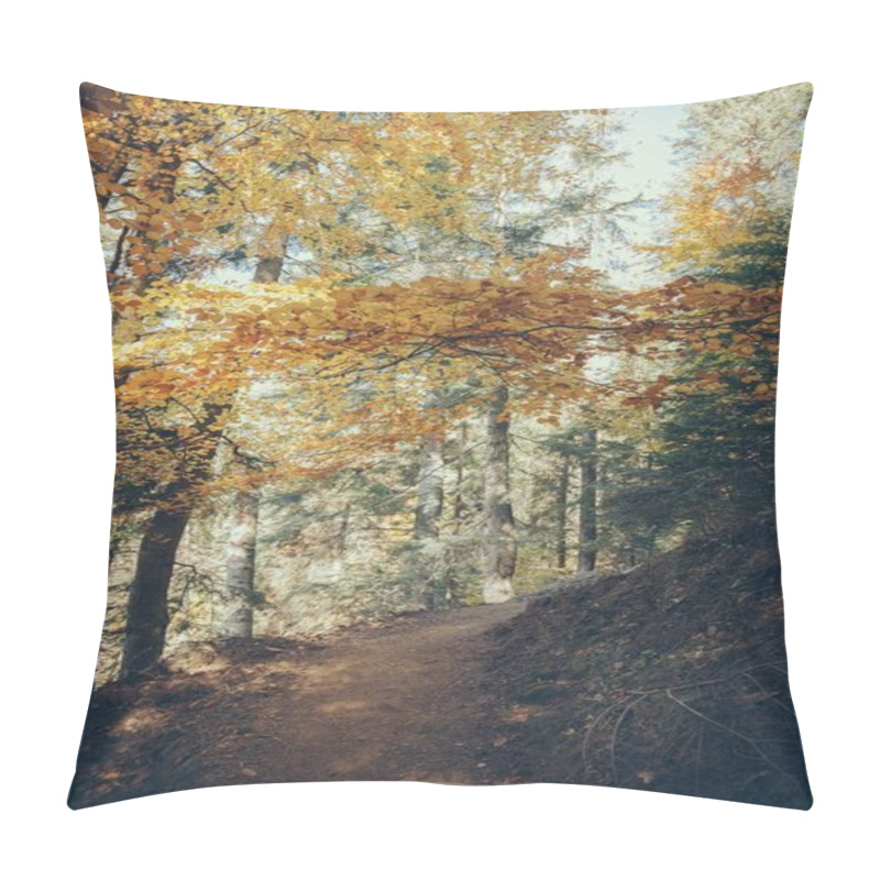 Personality  footpath in scenic mountain forest in Carpathians, Ukraine pillow covers