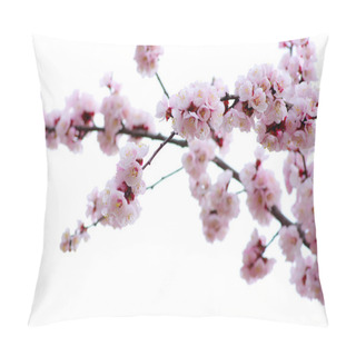 Personality  Pink Blossoms Pillow Covers