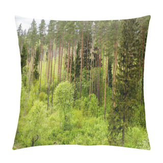 Personality  Endless Forests In Sunny Day Pillow Covers