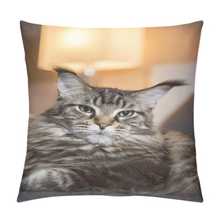 Personality  Portrait Of Big Cat, Pillow Covers