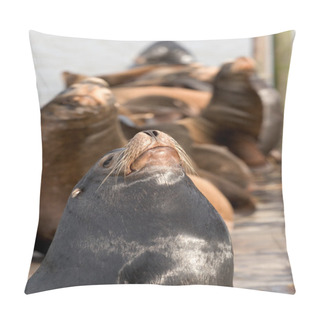 Personality  Sea Lion Pillow Covers