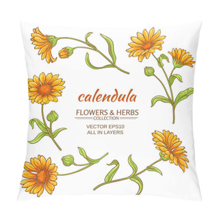 Personality  Calendula Vector Set Pillow Covers