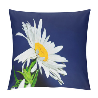 Personality  Chamomile, Beautiful Wild Flower Chamomile On A Blue Background, White Chamomile Close Up Pillow Covers
