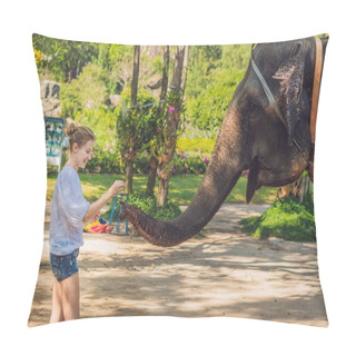 Personality  Woman Feed The Elephant Pillow Covers