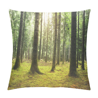 Personality  Beautiful Sunny Mossy Forest Landscape Pillow Covers
