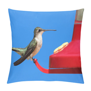 Personality  Female Ruby-throated Hummingbird Pillow Covers