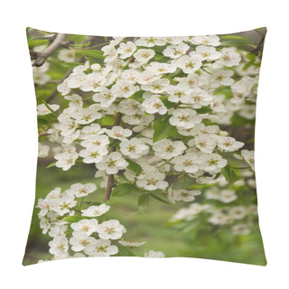 Personality  Apple Trees Flowers. The Seed-bearing Part Of A Plant, Consisting Of Reproductive Organs Stamens And Carpels That Are Typically Surrounded By A Brightly Colored Corolla Petals . Nature. Pillow Covers
