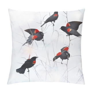 Personality  Red Winged Blackbirds Pillow Covers