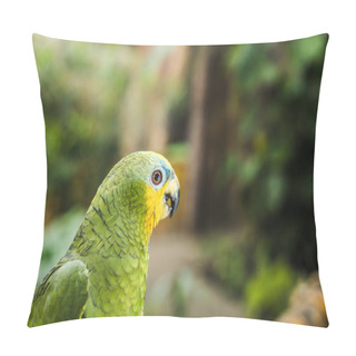 Personality  Close-up Shot Of Beautiful Green Afrotropical Parrot Pillow Covers
