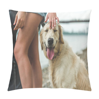 Personality  Retriever Pillow Covers