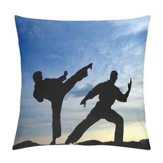 Personality  Martial Art Pillow Covers