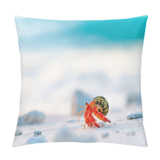 Personality  Hermit Crab On Beach Pillow Covers
