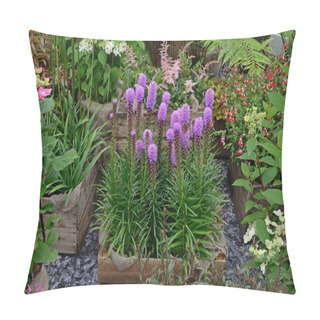 Personality  Liatris Spicata Flowering In A Simple Container In A Flower Nursery Pillow Covers