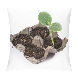 Personality  Small Squash Plant  Pillow Covers