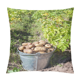 Personality  First Harvest Of Organically Grown New Potatoes Pillow Covers