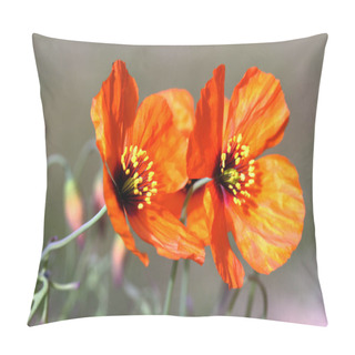 Personality  Summer Flora, Red Poppy Flower Pillow Covers