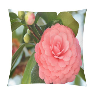 Personality  Bright Pink Japanese Camellia Flower In Bloom Pillow Covers