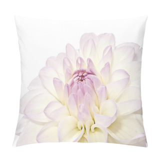 Personality  White Dahlia Pillow Covers