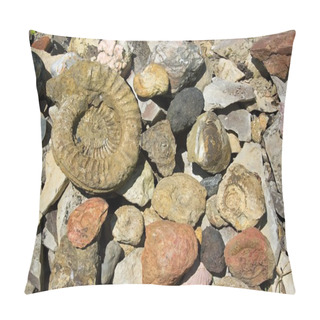 Personality  Different Fossils And Stones Pillow Covers